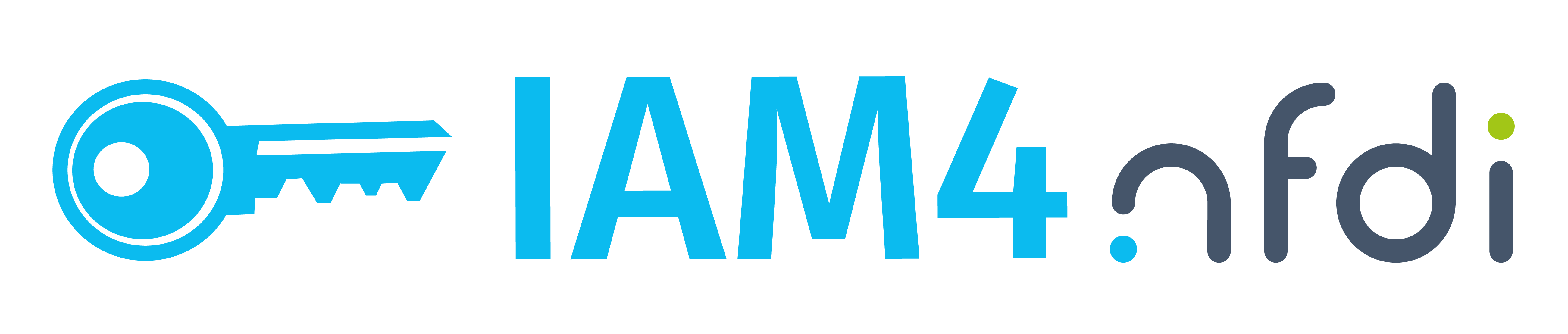 IAM4NFDI Logo